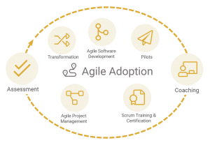 Diagram of agile adoption
